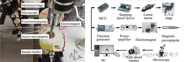 安泰測試2024年4月企業月報(圖4)