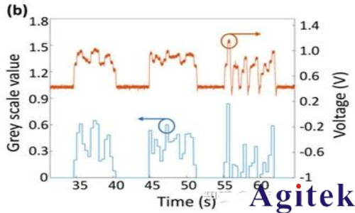 普源 DG70000 圖形信號仿真在光神經網絡中的應用(圖2)