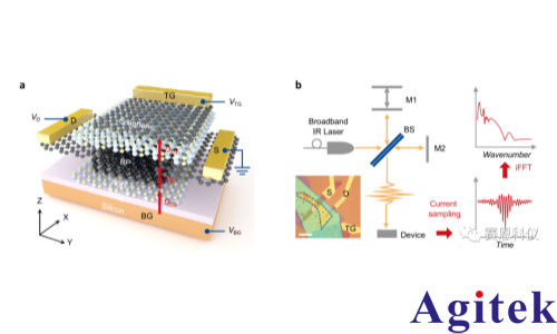 鎖相放大器OE1022在黑磷中激子Mott金屬絕緣體轉變測量中的應用(圖1)