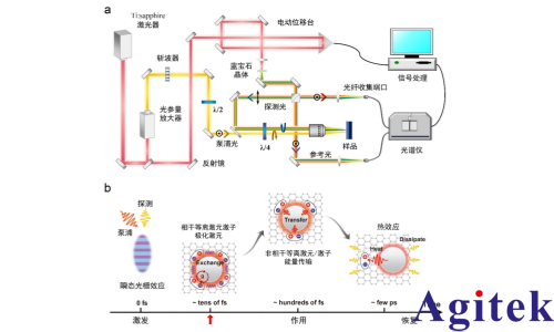 雙通道鎖相放大器OE1022D應用在“非線性”等離激元激子極化激元研究(圖2)
