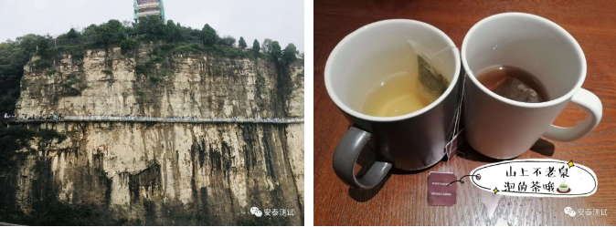 2020安泰之旅-龍門石窟朝大佛,云臺山里尋道蹤(圖9)