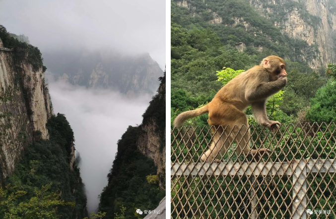 2020安泰之旅-龍門石窟朝大佛,云臺山里尋道蹤(圖10)
