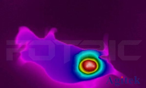 紅外熱像儀在學(xué)術(shù)研發(fā)的應(yīng)用(圖2)