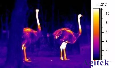 紅外熱成像儀的工作原理(圖2)